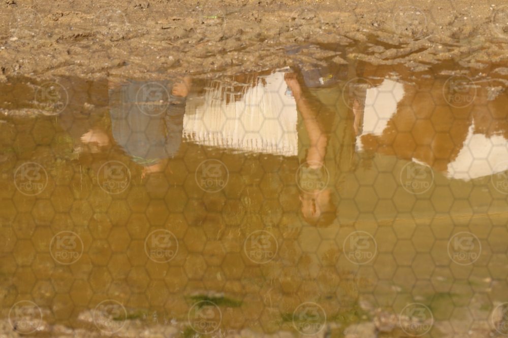 s_IMG_0534.jpg
